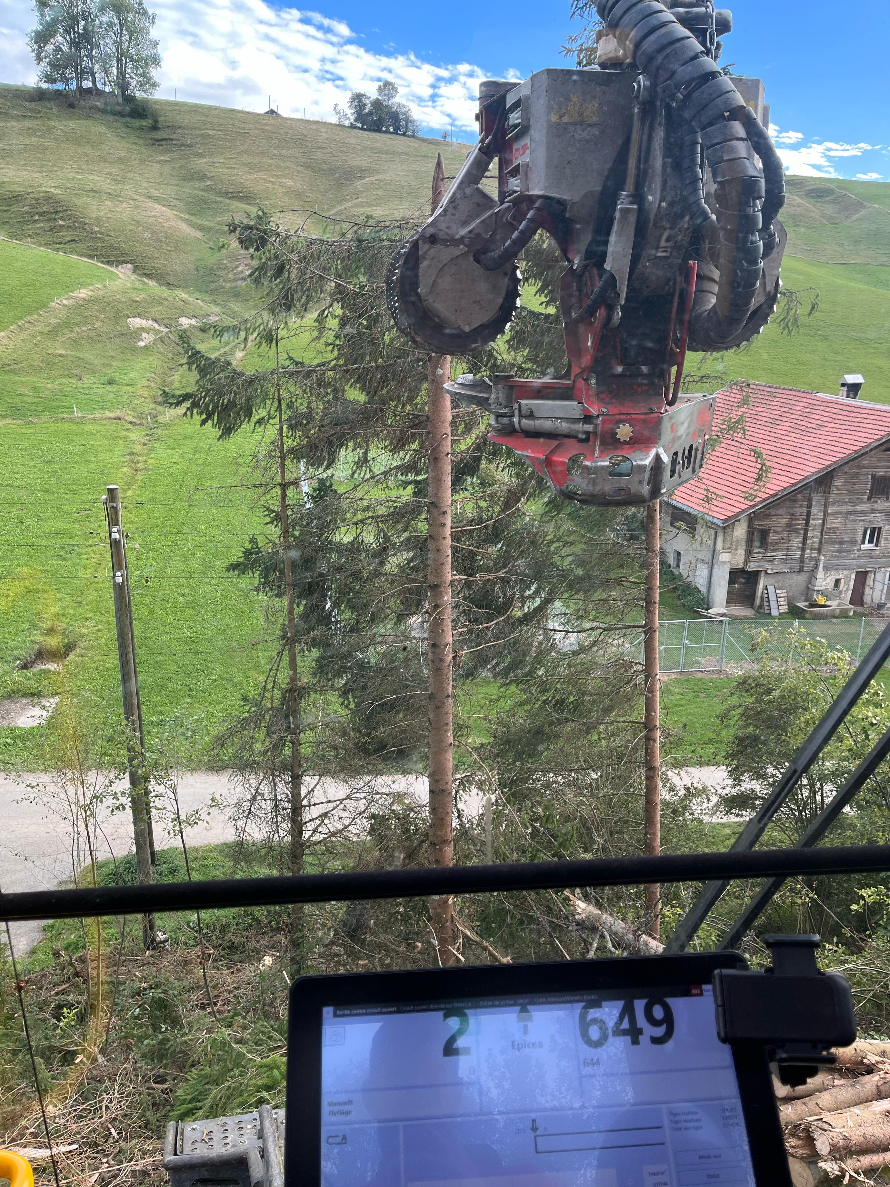 Abattage d'arbre près de lignes aériennes — SAS POLYVIER Jura